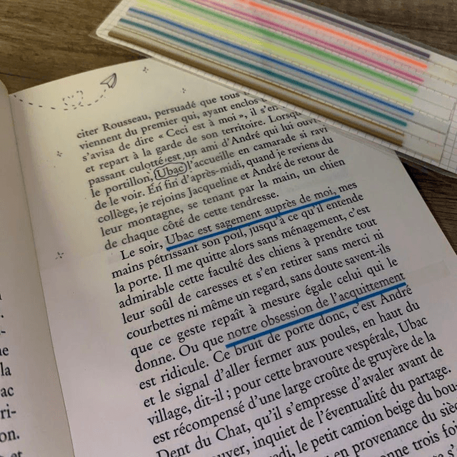 Marqueur Annotation 